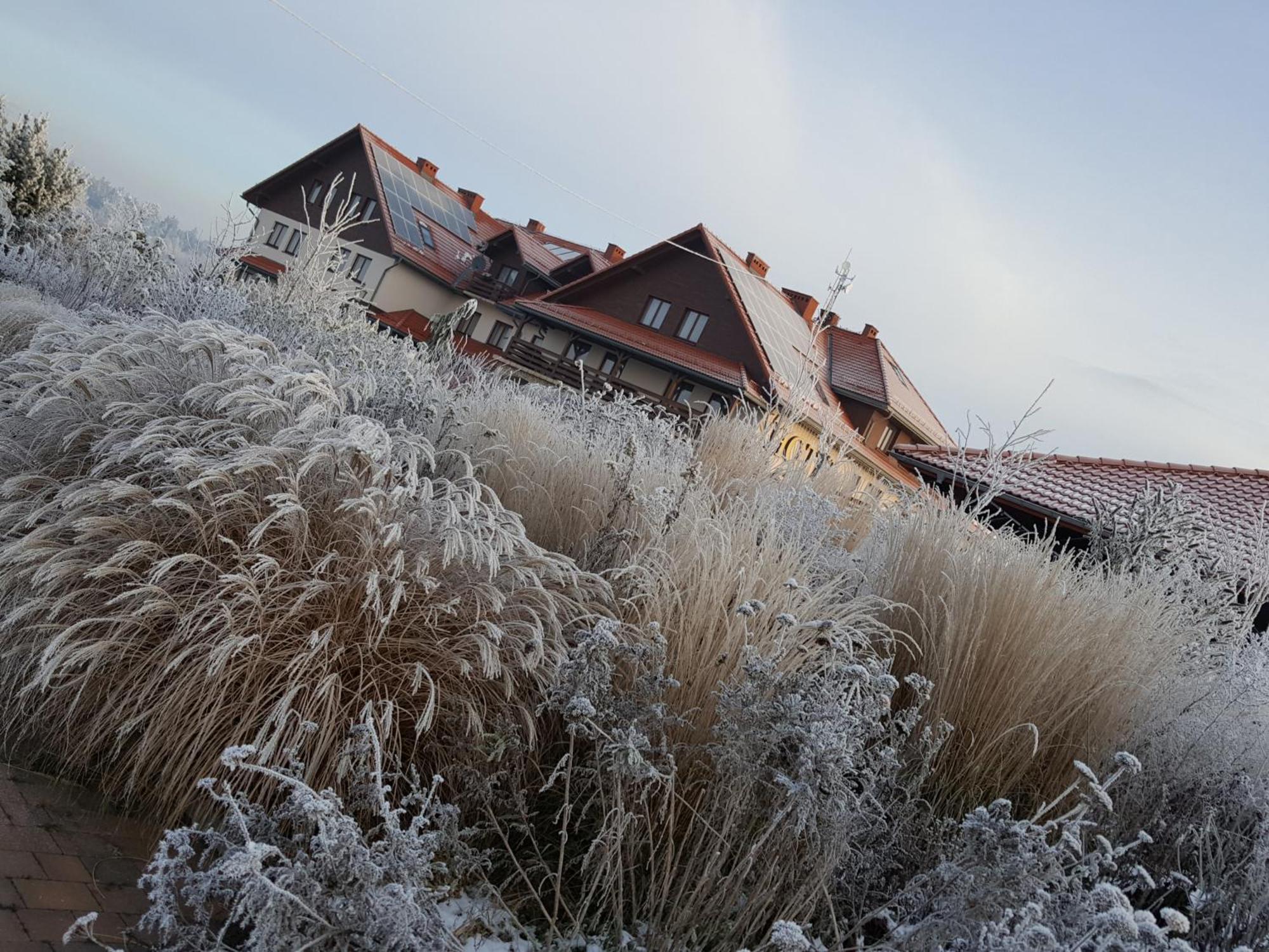 Hotel Lokietek Czajowice ภายนอก รูปภาพ